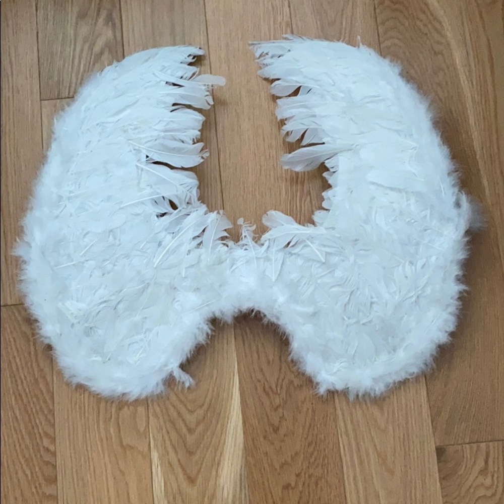 Angel costume wings